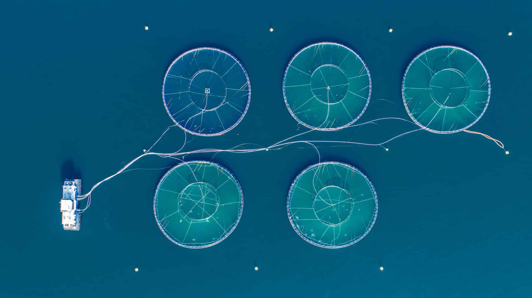 Haavind fiskeri og havbruk