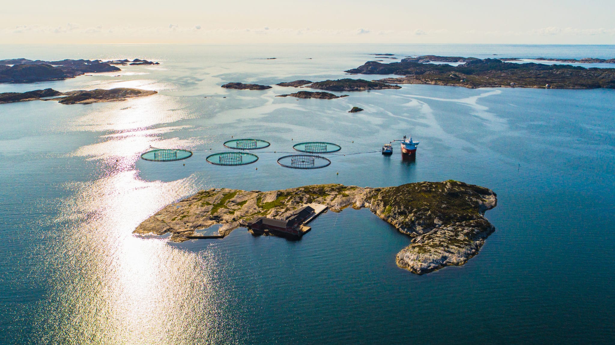 Haavind fiskeri havbruk hav