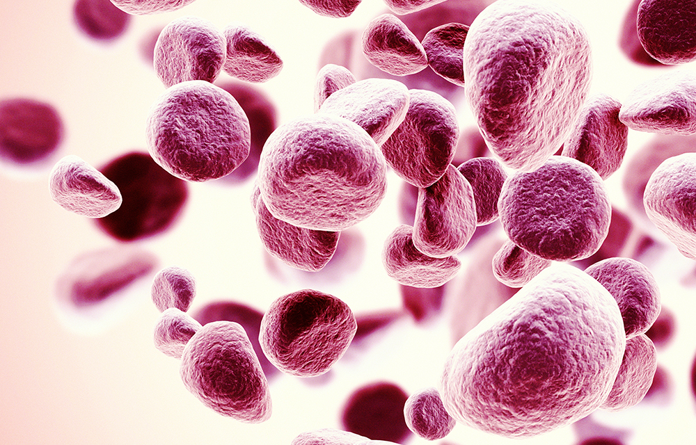 Haavind Pharma Report Summer Haavind Pharma Report Summer